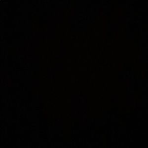 Meet your Posher, Kira